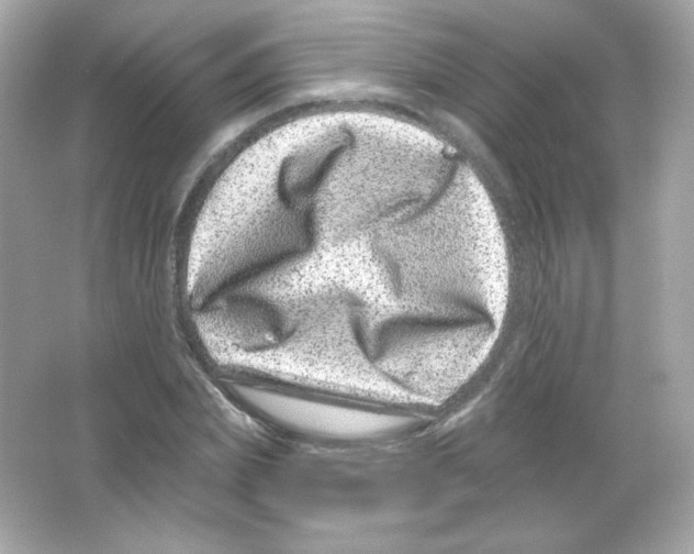 X0000065260831200603172228