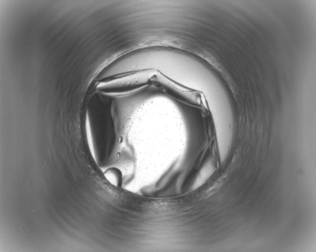 X0000065260834200603172228