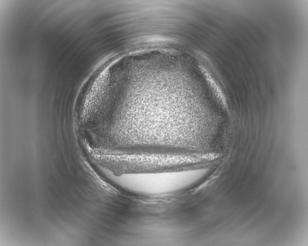 X0000065260835200603172228