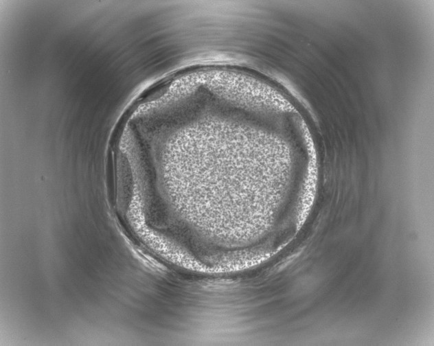 X0000065260837200603172228