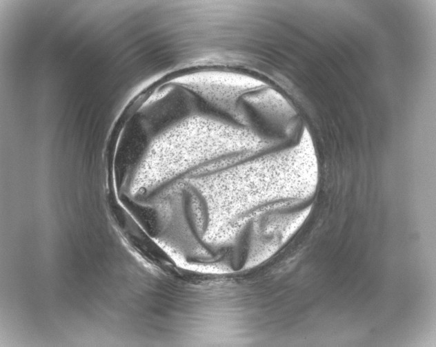 X0000065260838200603172228