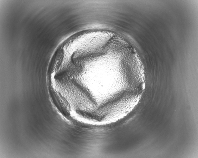 X0000065260839200603172228