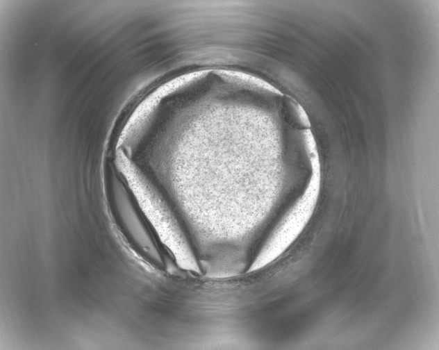 X0000065260840200603172228