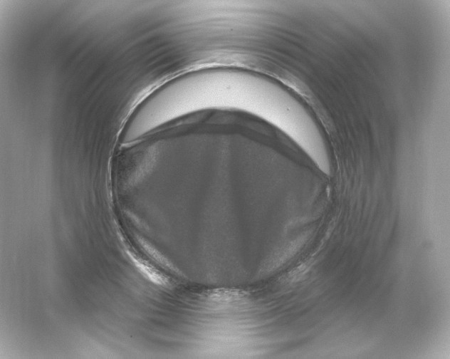 X0000065260842200603172228