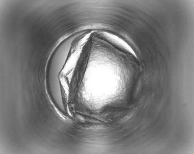 X0000065260845200603172228