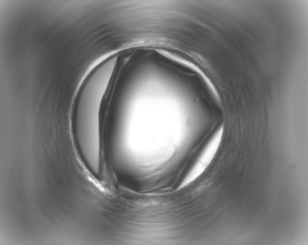 X0000065260846200603172228