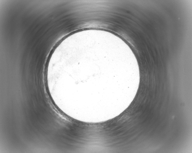 X0000065260848200603172228