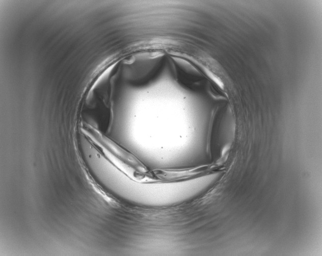 X0000065260850200603172228