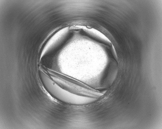 X0000065260852200603172228