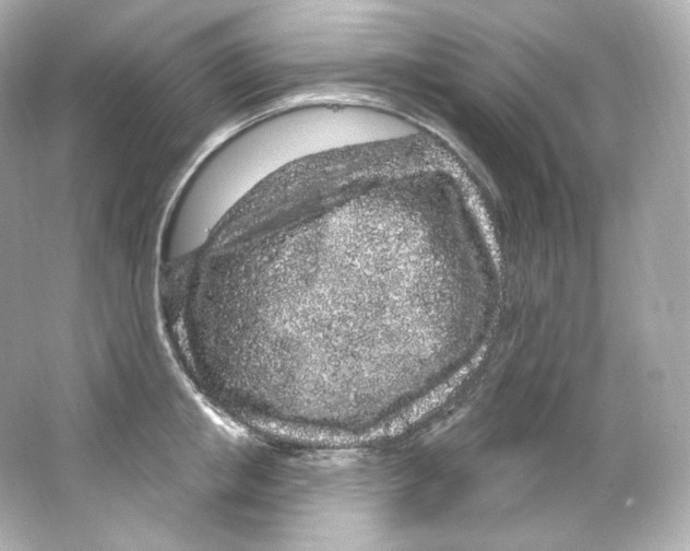 X0000065260853200603172228