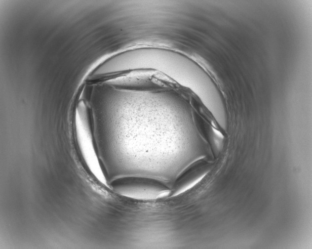 X0000065260854200603172228