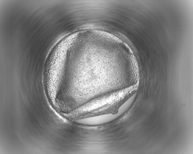 X0000065260855200603172228