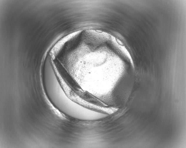 X0000065260859200603172228