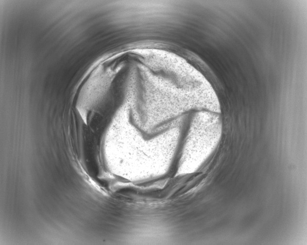 X0000065260860200603172229