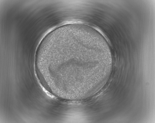 X0000065260861200603172229