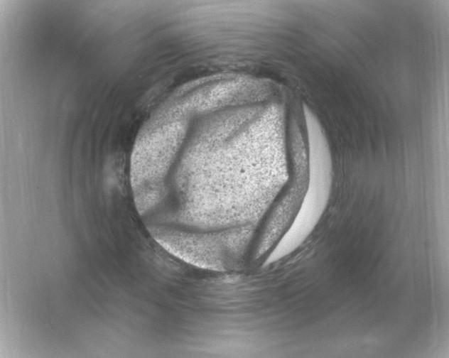 X0000065260867200603172228