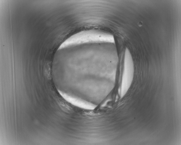 X0000065260868200603172228