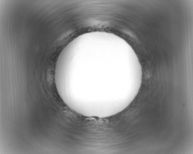 X0000065260869200603172228