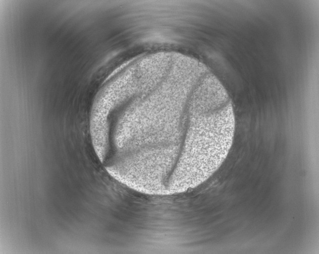 X0000065260870200603172228