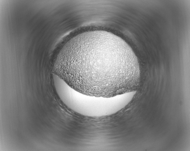 X0000065260872200603172228