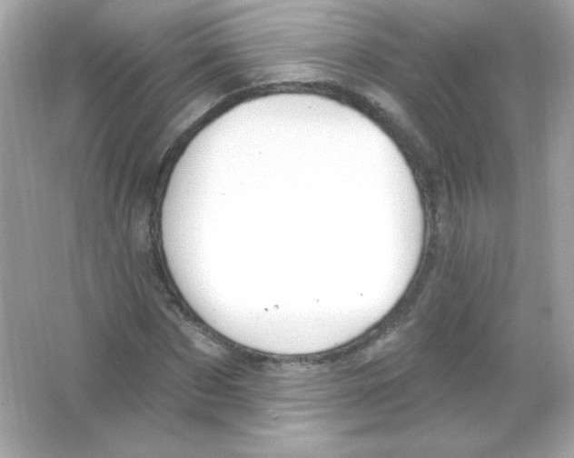 X0000065260873200603172228