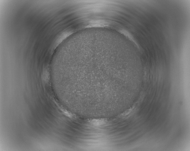 X0000065260874200603172228