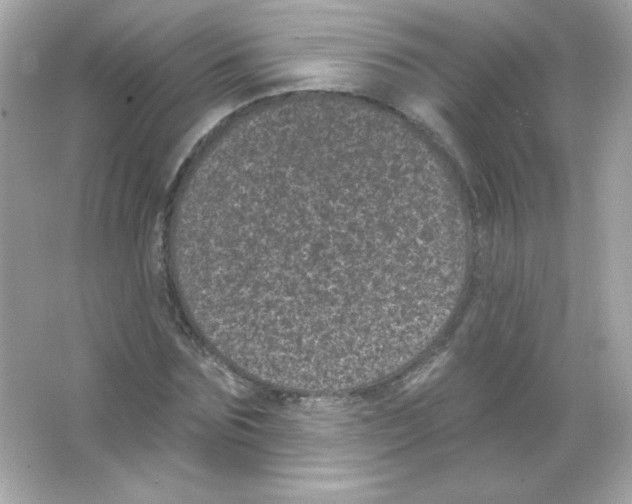 X0000065260875200603172228