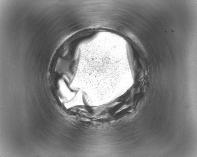 X0000065260876200603172228