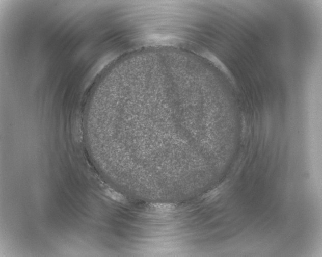 X0000065260878200603172228