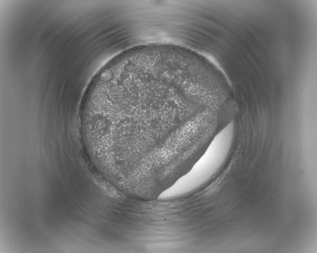 X0000065260879200603172228