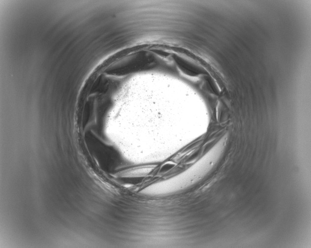 X0000065260880200603172228