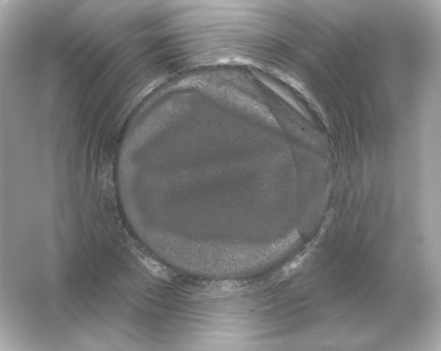 X0000065260881200603172227