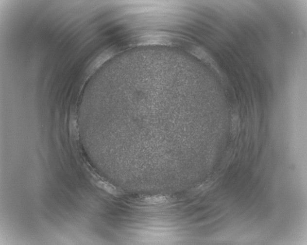 X0000065260882200603172227