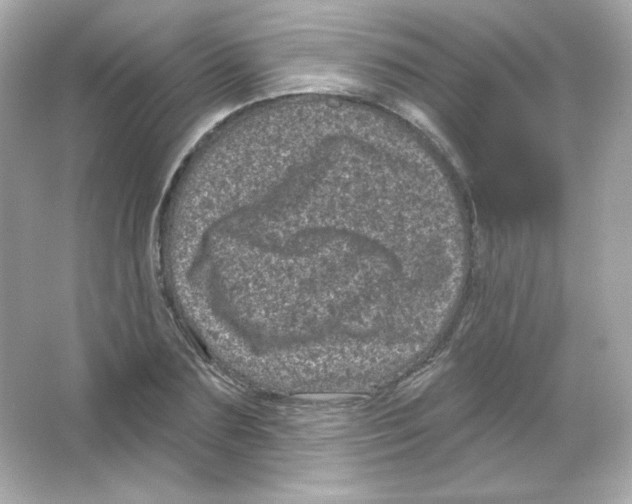 X0000065260883200603172227