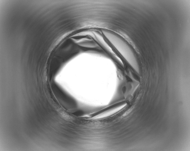 X0000065260885200603172227