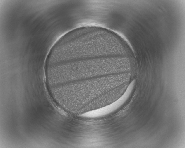 X0000065260887200603172227