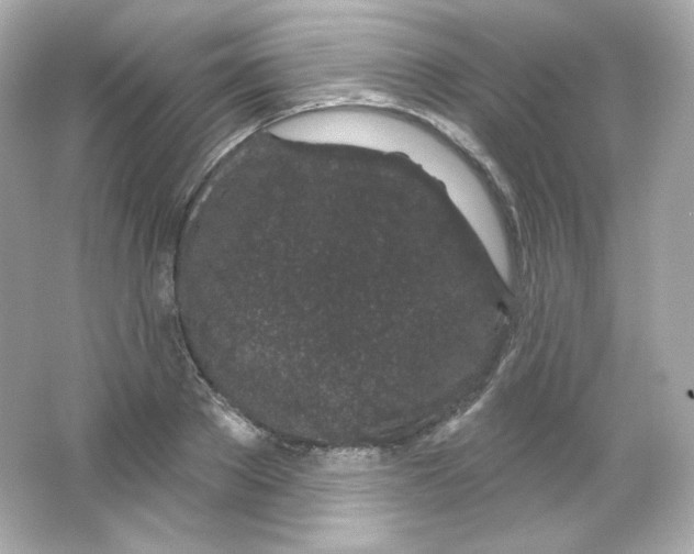 X0000065260889200603172227