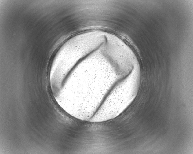 X0000065260890200603172227