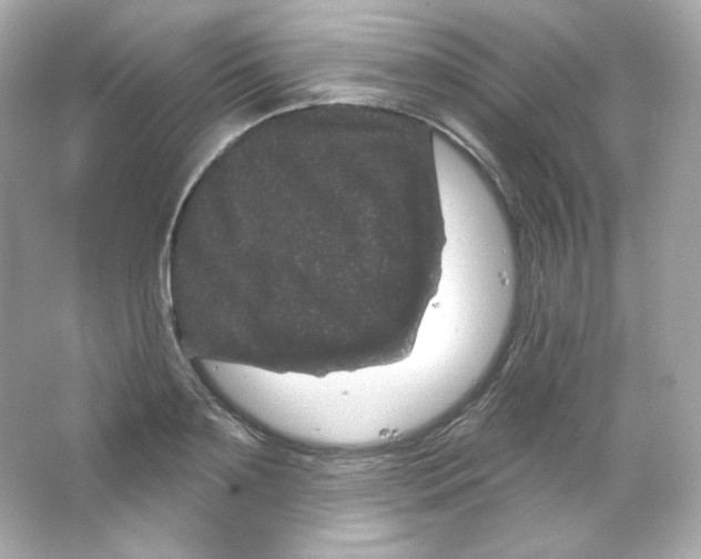 X0000065260891200603172227