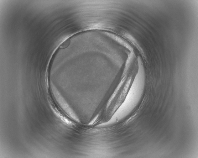 X0000065260892200603172227