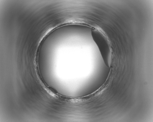 X0000065260893200603172227