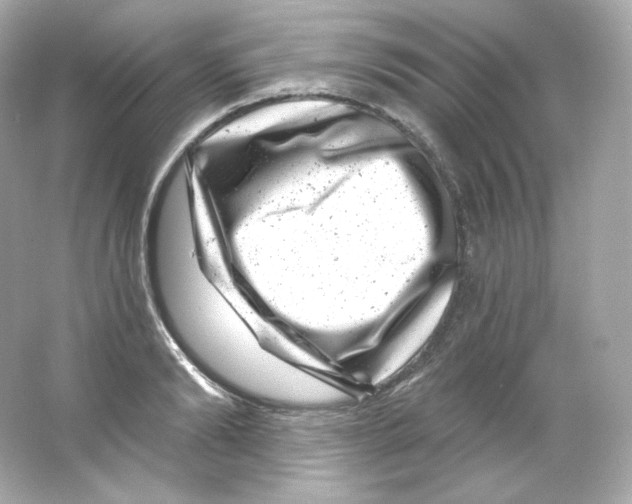 X0000065260894200603172227