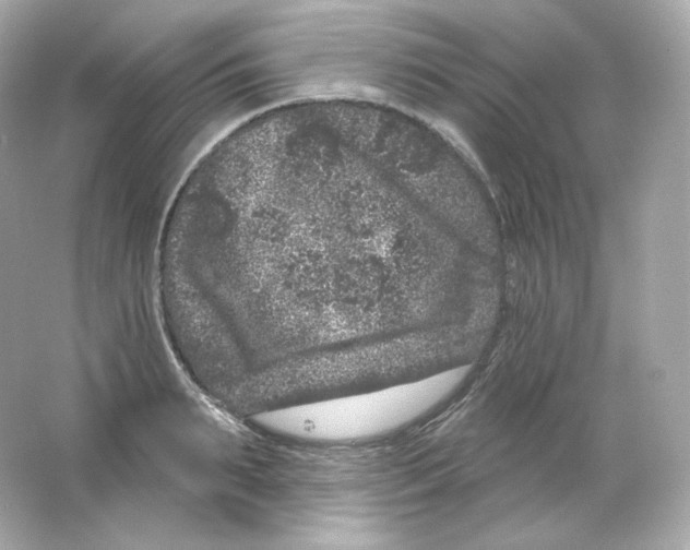 X0000065260895200603172227