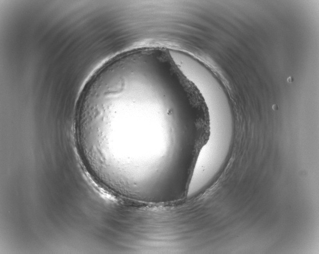 X0000065260896200603172227