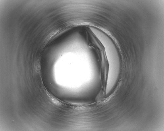 X0000065260897200603172227