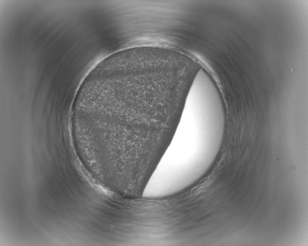 X0000065260899200603172227