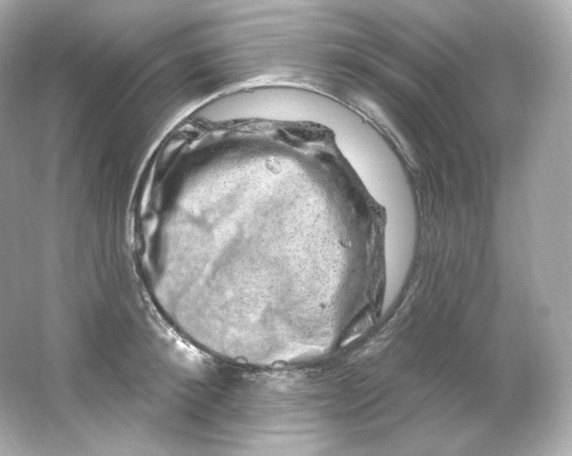 X0000065260900200603172227