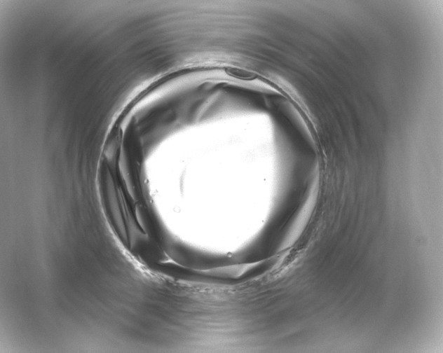 X0000065260901200603172227