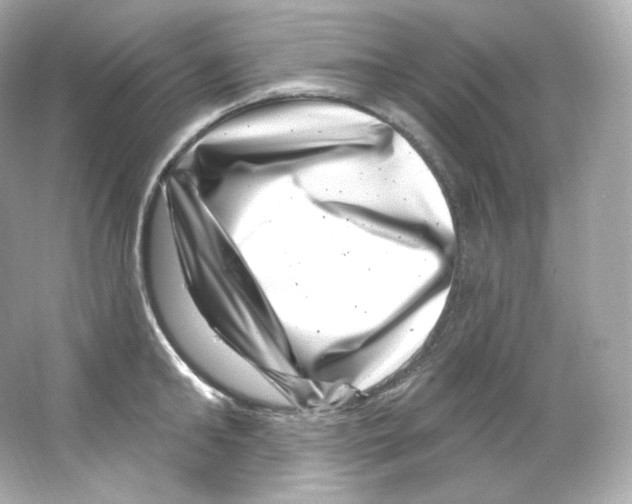 X0000065260902200603172227