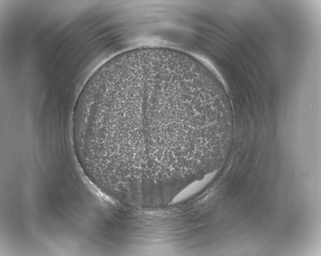 X0000065260903200603172227